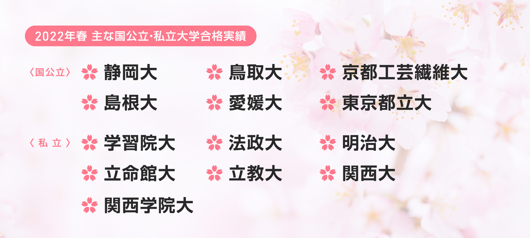 主な国公立・私立大学合格実績
